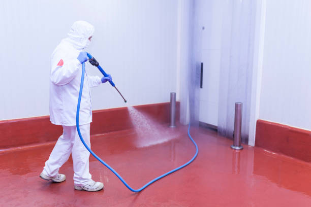 Best Building Exterior Washing  in Fairview Ferndale, PA